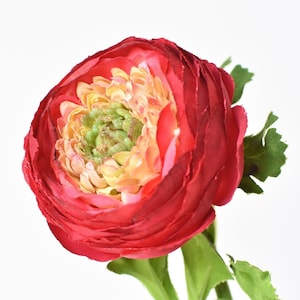 13 Faux Red Ranunculus Stem image 1