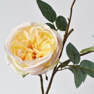 29&quot; Faux Cabbage Rose Stem Yellow / Apricot