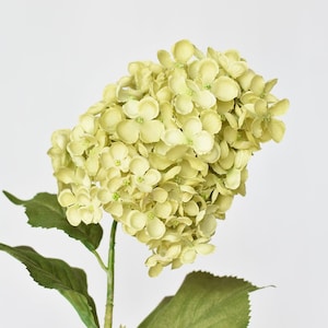 May include: A single stem of artificial hydrangea with green leaves and light green flowers.