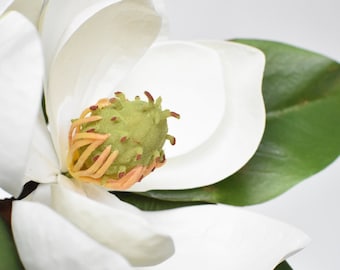 24" Faux Magnolia Blossom Stem