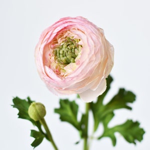 13" Faux Blush Ranunculus Stem