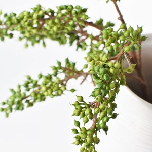 12" Faux Green Sedum Berry Stem