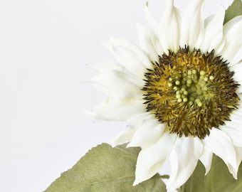 25" Faux Sunflower Stem White