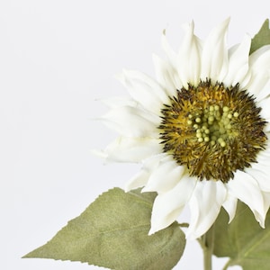 25&quot; Faux Sunflower Stem White