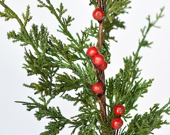 May include: A sprig of cedar with red berries. The cedar is green and the berries are a bright red. The sprig is perfect for adding a touch of nature to your home decor.