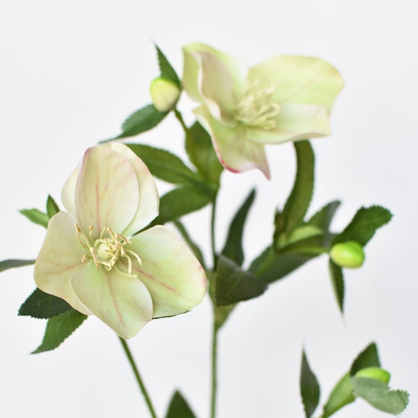 25" Faux Helleborus Stem Green