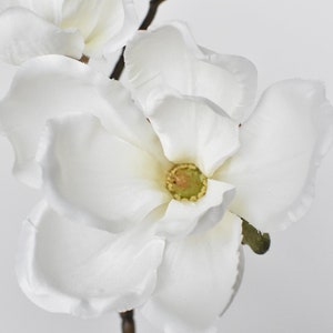 19" Faux Magnolia Stem White