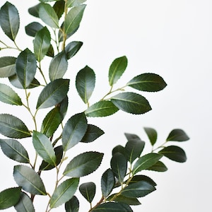 26" Faux Ruscus Leaf Stem