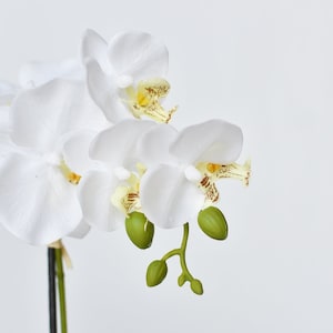 14&quot; Faux Potted Orchid White