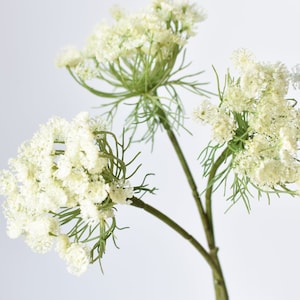 Faux Queen Anne's Lace Stems Trio White Houseplants in Green/White - The Sill