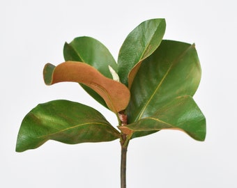 14" Faux Magnolia Leaf Stem