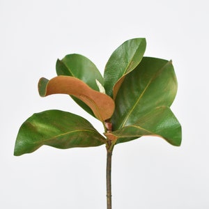 14" Faux Magnolia Leaf Stem
