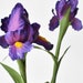 see more listings in the Floral Stems section