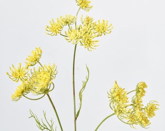 20.5" Faux Yellow Queen Anne's Lace Stem