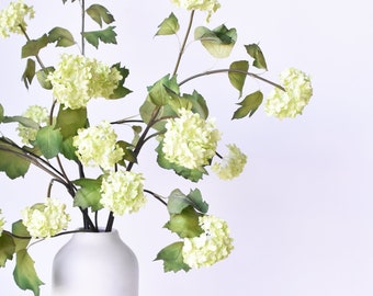 May include: A white ceramic vase holds a floral arrangement of light green hydrangea-like blooms and green leaves. The stems are a dark brown color. The vase is tall and cylindrical, with a smooth, matte finish. The background is plain white.