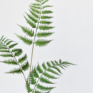 33" Faux Forest Fern Spray