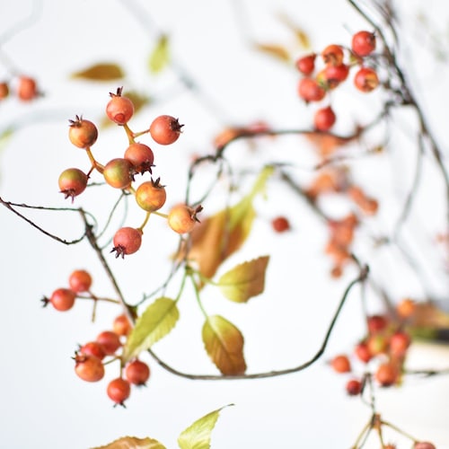38" Faux Orange Berry Branch Stem