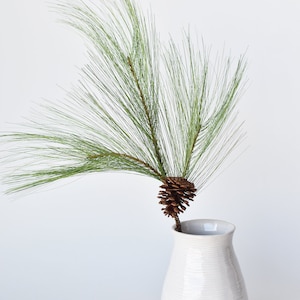 May include: A single sprig of green pine with a brown pine cone in a white ceramic vase with a textured surface.