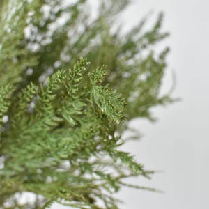 May include: A cluster of artificial green cedar branches with fine, needle-like foliage. The branches feature a textured, layered structure with varying shades of muted green, creating a dense, bushy appearance with realistic, delicate sprigs.
