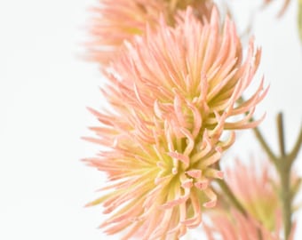 19" Faux Coral Pink Thistle Stem