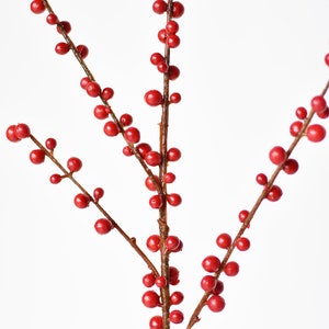 May include: A sprig of red berries with multiple branches and small, round berries.
