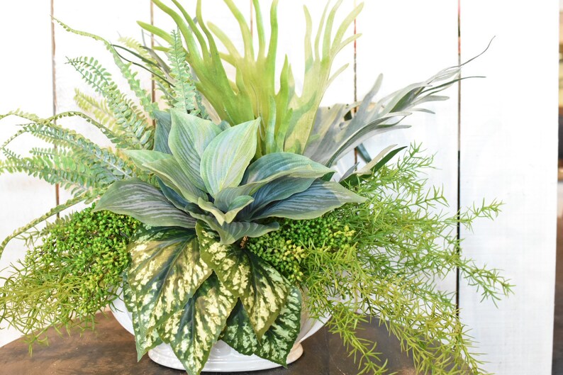 Asparagus Fern Sprengeri Bush flower floral Faux Etsy