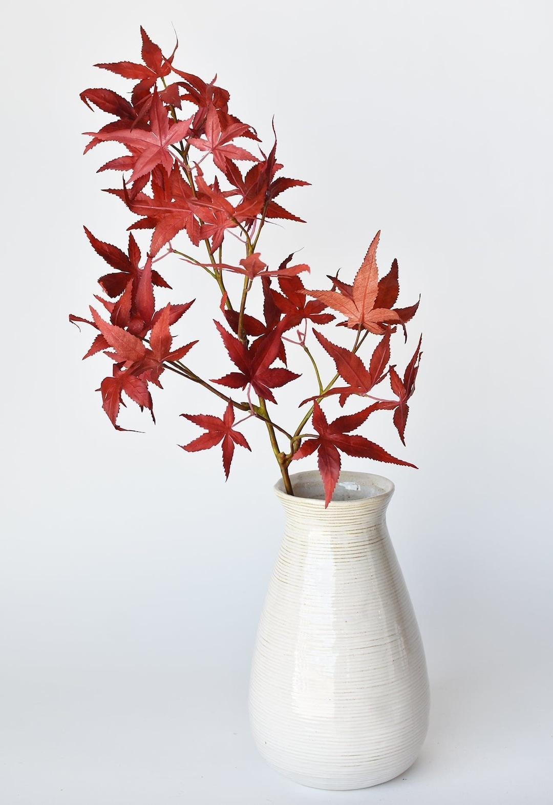 Japanese Maple Leaf Color Change