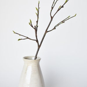 May include: A single branch with small green leaves in a white ceramic vase with a textured surface.