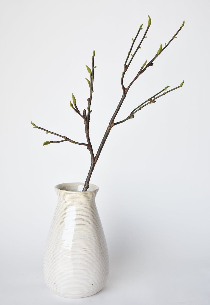 May include: A single branch with small green leaves in a white ceramic vase with a textured surface.