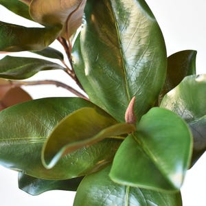 40&quot; Faux Magnolia Leaf Branch