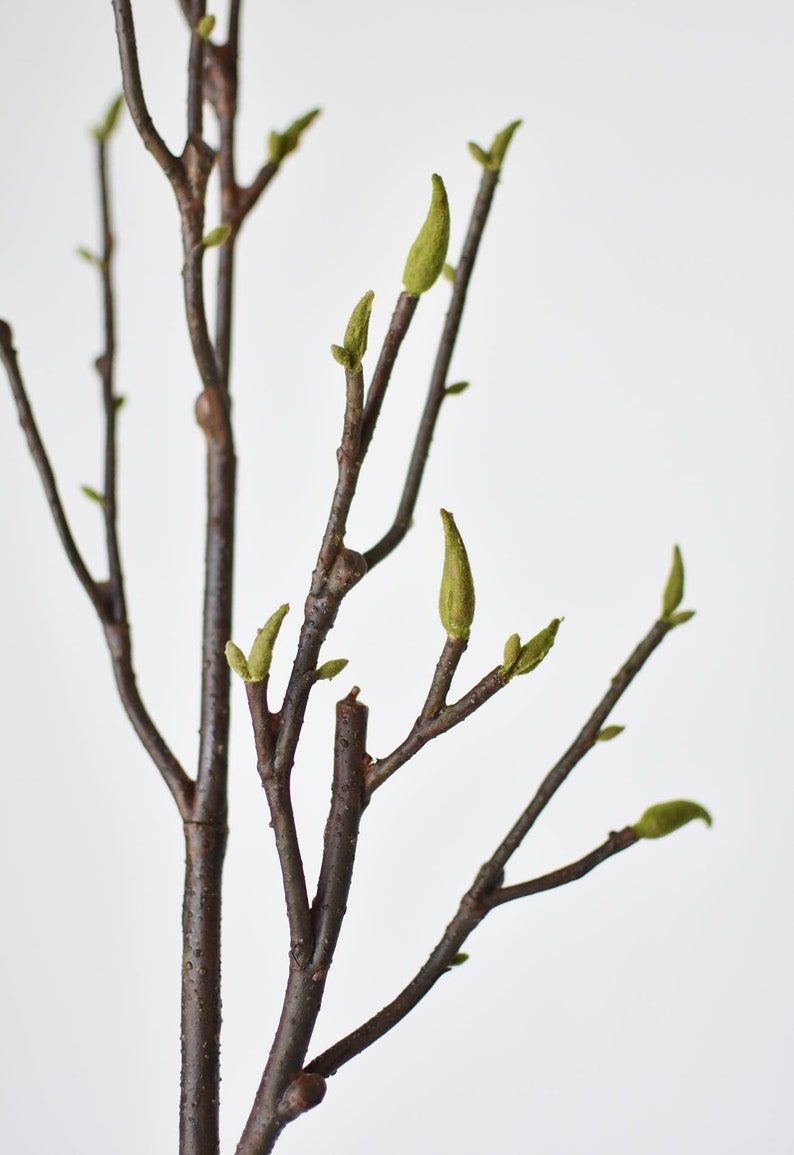 May include: A brown twig branch with green buds, a spring floral arrangement.