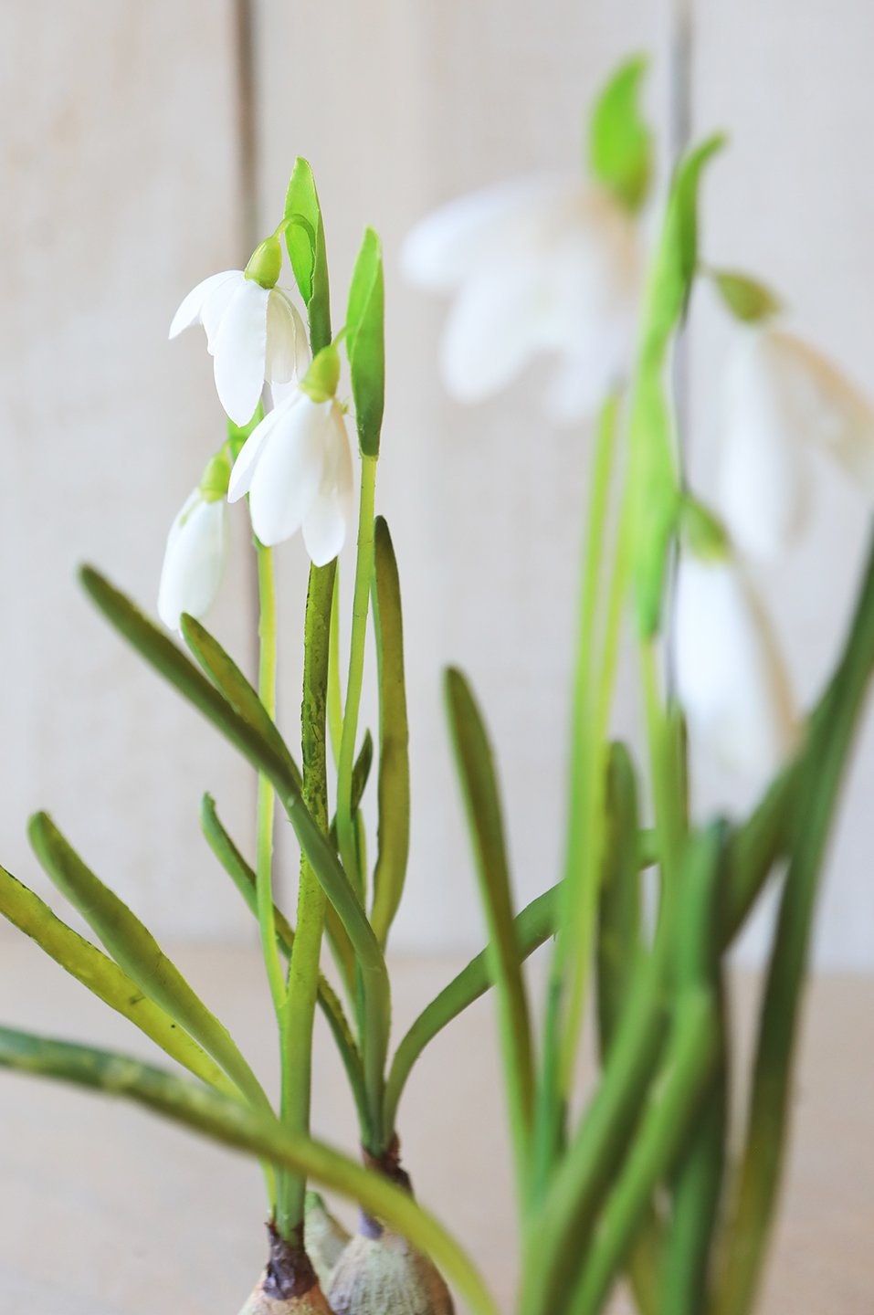 Faux Standing Snowdrop w/Bulb Faux flower floral artifical Etsy