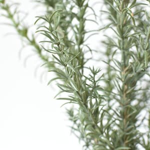 24" Faux Rosemary Bush