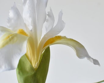 30" Faux Dutch White Iris Stem