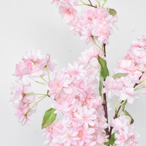 Puede incluir: Primer plano de una rama con racimos de flores de cerezo de color rosa claro. Las flores tienen m&uacute;ltiples capas de delicados p&eacute;talos y centros amarillos. Hojas verdes se intercalan entre las flores. La rama es marr&oacute;n y el fondo es blanco.