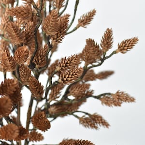 May include: A decorative botanical branch featuring numerous small, light brown, cone-like structures attached to thin, dark, branching stems. The textured, elongated cones are densely clustered along the twigs, creating a natural, organic appearance.