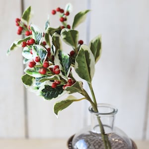 18&quot; Variegated Faux Holly Stem