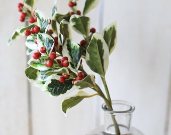May include: A sprig of variegated holly with red berries in a clear glass vase with a gold metal base.