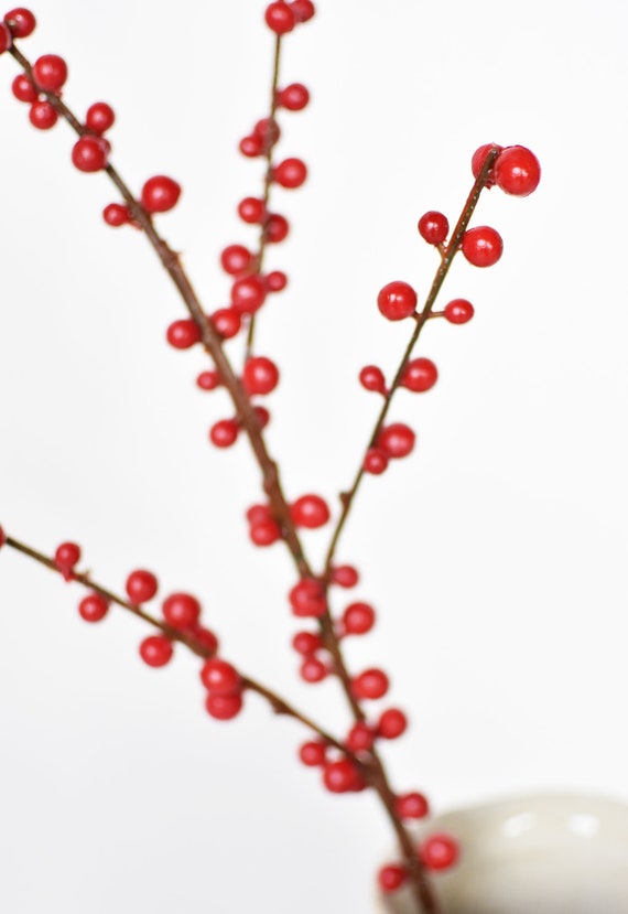 Faux Outdoor Red Berry Stem 2 Sizes 