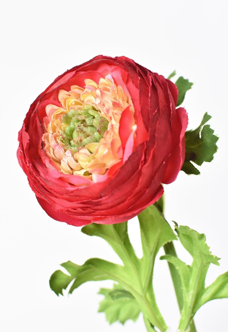 13 Faux Red Ranunculus Stem image 1