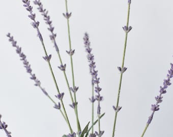 33" Faux Lavender Stem