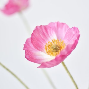 24" Faux Pink Poppy Stem