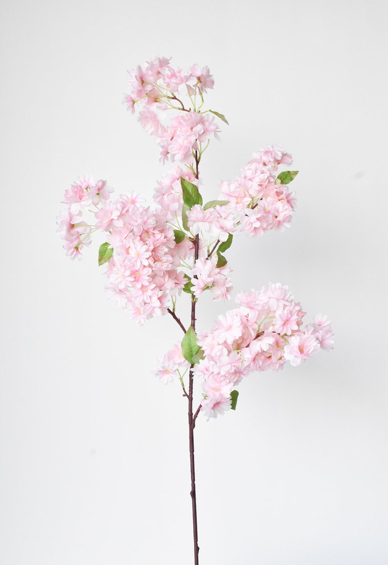 Puede incluir: Un solo tallo de flores de cerezo artificiales. Las flores son de un rosa suave, agrupadas a lo largo del tallo marr&oacute;n con hojas verdes. Las flores est&aacute;n en plena floraci&oacute;n, creando un aspecto delicado y natural. Ideal para la decoraci&oacute;n del hogar.