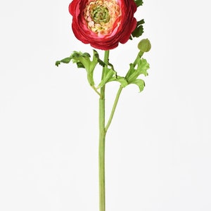 13 Faux Red Ranunculus Stem image 3