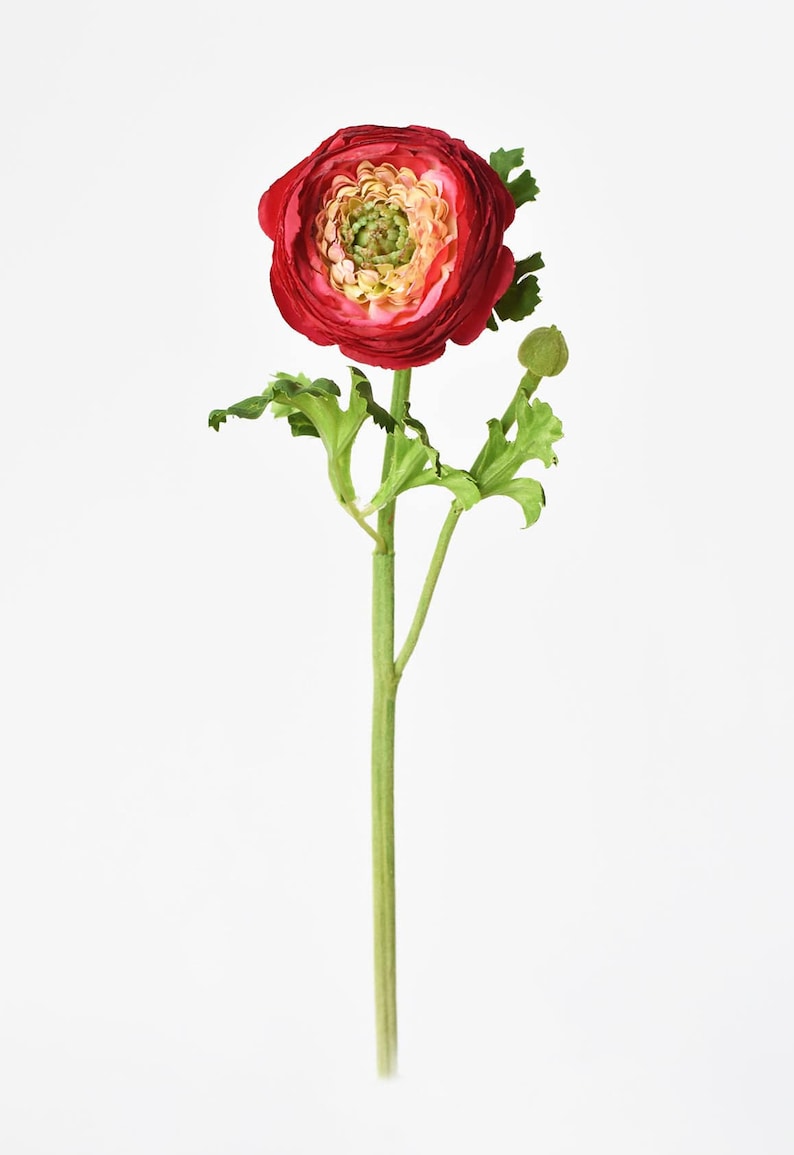 13 Faux Red Ranunculus Stem image 3