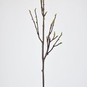 May include: A single brown twig with small green leaves sprouting from it. The twig is about 30 inches long and is isolated against a white background.