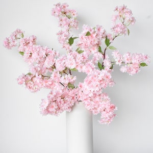 Puede incluir: Un jarr&oacute;n cil&iacute;ndrico blanco contiene un gran arreglo de ramas de flores de cerezo rosas. Las flores est&aacute;n agrupadas, con hojas verdes intercaladas. El fondo es blanco liso.