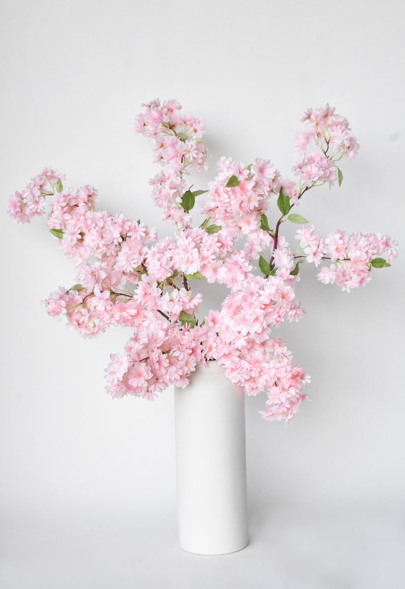 Puede incluir: Un jarr&oacute;n cil&iacute;ndrico blanco contiene un gran arreglo de ramas de flores de cerezo rosas. Las flores est&aacute;n agrupadas, con hojas verdes intercaladas. El fondo es blanco liso.