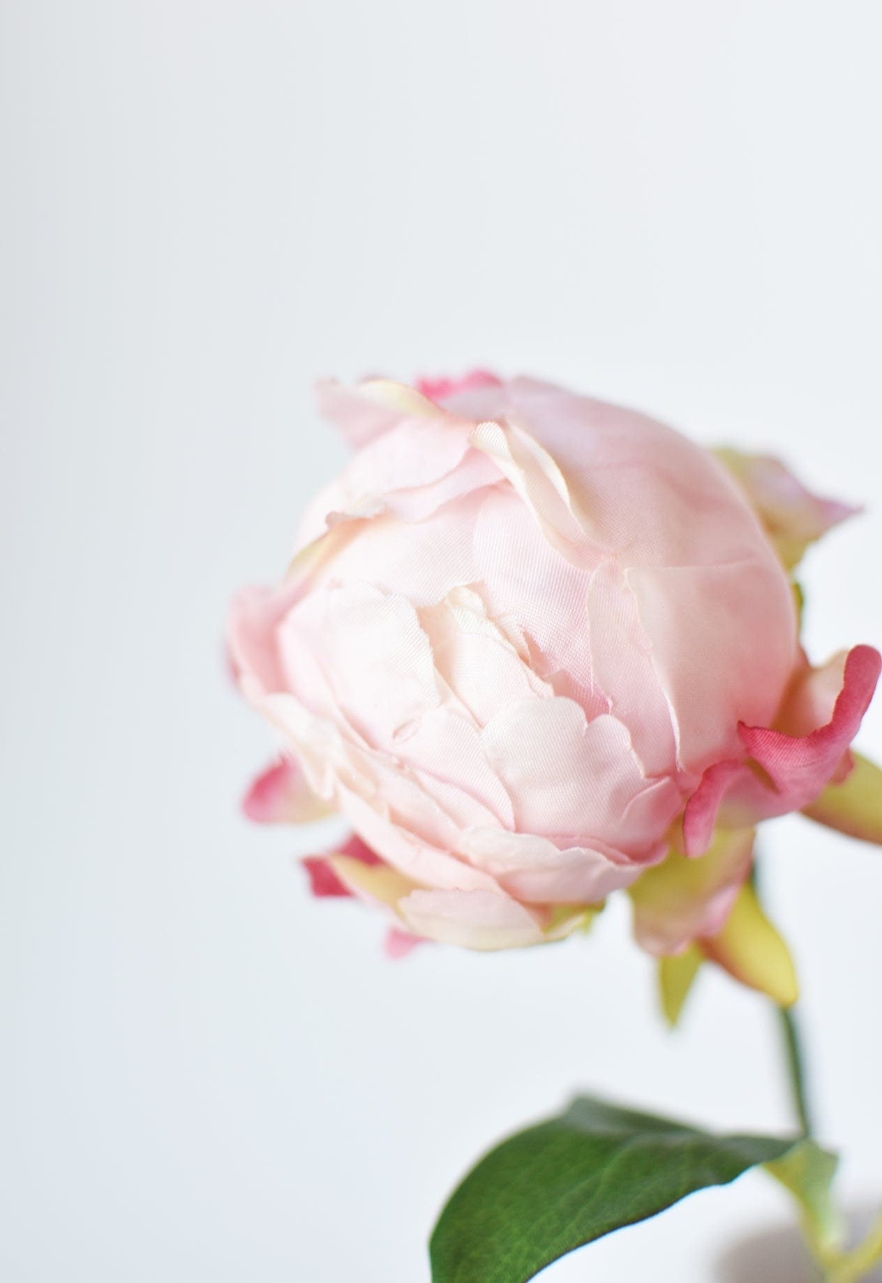 Artificial Flower Peony Bud in … curated on LTK
