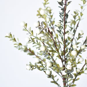 21” White Berry Boxwood Greenery Stem